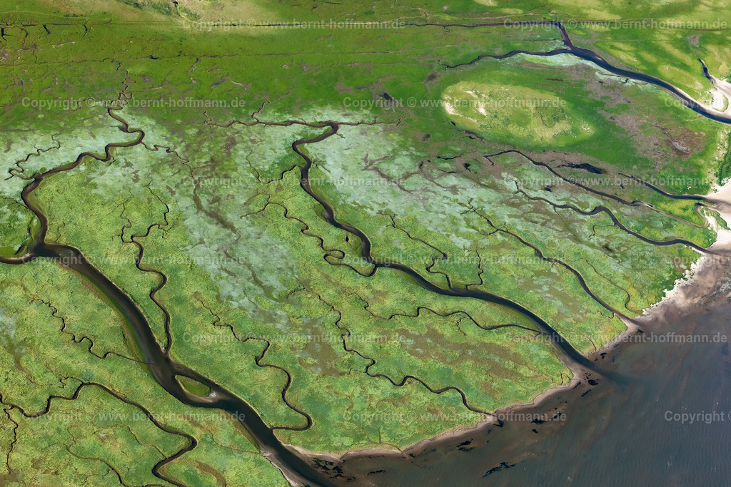 PLB_6877_Norderney_Salzwiesen_90x60 | Luftbild, Priele in den Salzwiesen auf der Insel Norderney am ostfriesischen Wattenmeer. - Realisiert mit Pictrs.com