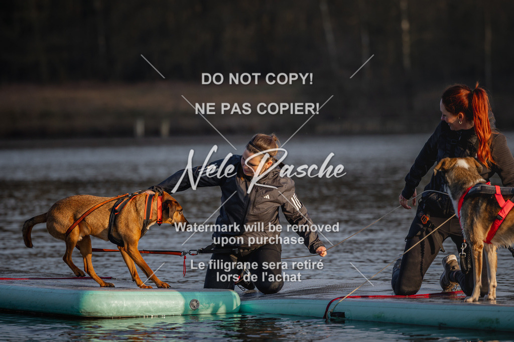 nelerasche_Hulsbeek_Sa1730-Ende_33 | nelerasche