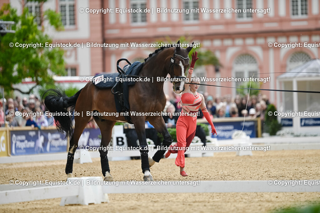 20250608_CVI-Masterclass_0158 | Foto: Thomas Hartig