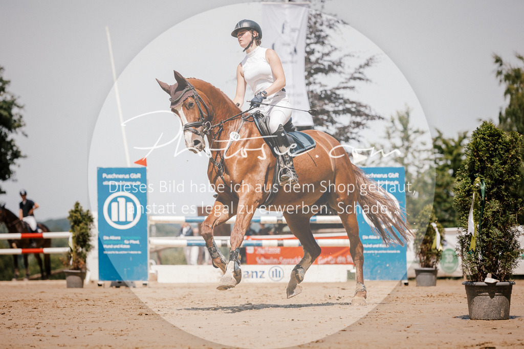 3I6A8061 | Stimmungsvolle Portraits und Reitsportfotografie im Ruhrgebiet und im Münsterland.

Pferdefotografie, Hundefotografie, Tierfotografie, Reportagen, Portraits von Tier und Mensch, Turnierfotografie in Bochum, Recklinghausen, Marl, Haltern am See, Dülmen.. - Realisiert mit Pictrs.com