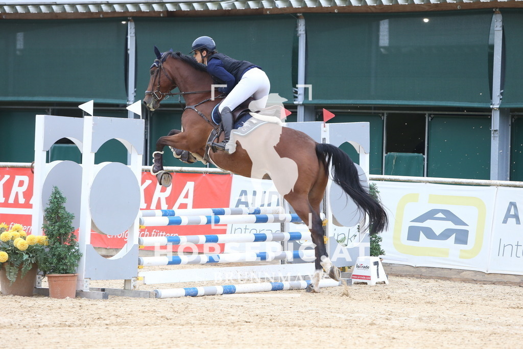 DL2Q0837 | Willkommen bei Brunnmayr - Design & Fotografie – Ihrem Spezialisten für Reitturniere und Pferdeveranstaltungen in Oberösterreich, Salzburg und Bayern! Seit über 17 Jahren sind wir leidenschaftlich dabei.