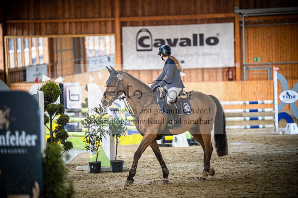 DOS_1382 | Entdecke hochwertige Reitturnierfotos von Foto Oger. Professionell, emotional und authentisch – jetzt Lieblingsmomente im Shop bestellen.Deutschlandweite Turnierfotografie. - Realisiert mit Pictrs.com