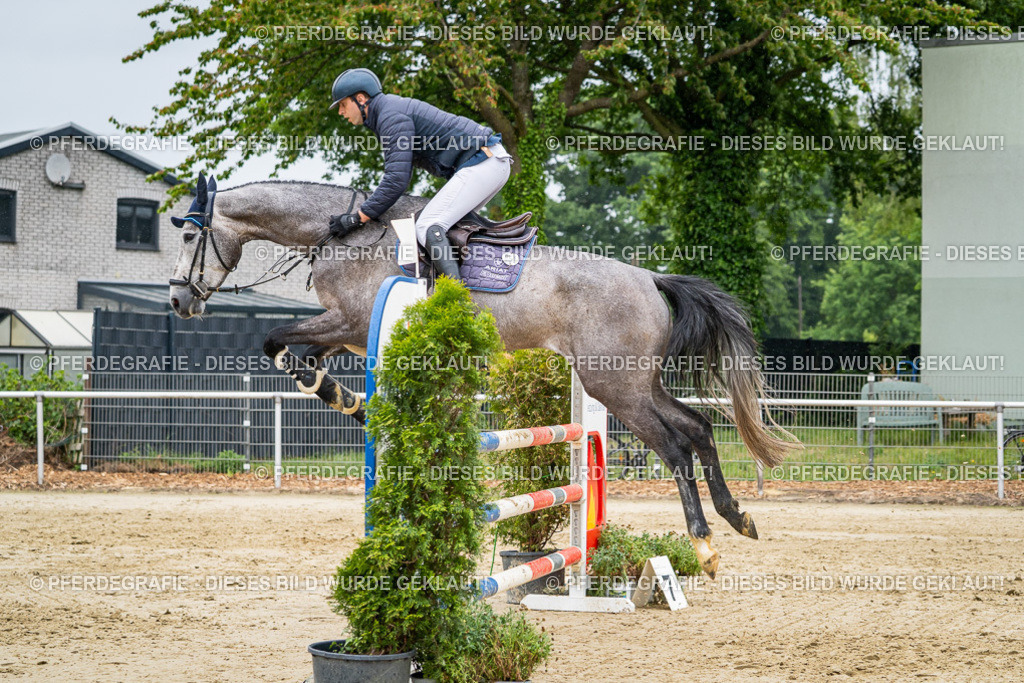 DSC02857 | Pferdegrafie