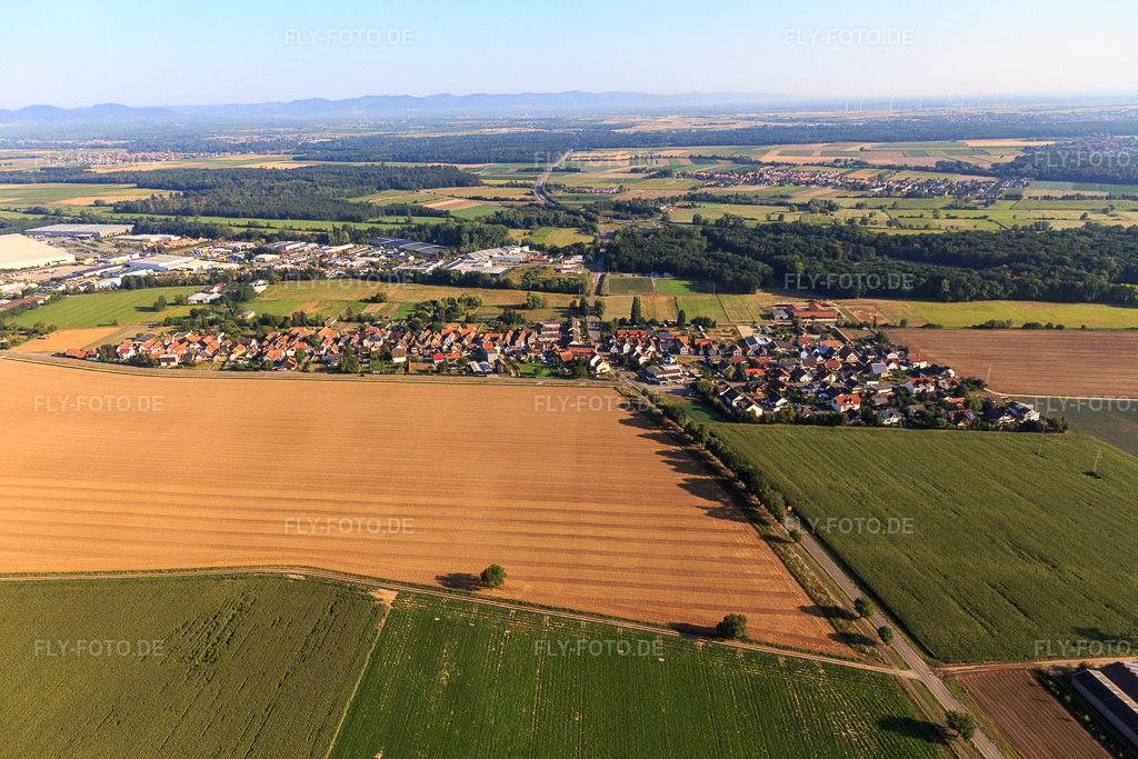 Luftbild: Ortsansicht von Südosten im Ortsteil Minderslachen in Kandel im Bundesland Rheinland-Pfalz in Deutschland. Foto: IMG_122063.jpg vom 08.08.2020 durch Werner Riehm/FLY-FOTO.de