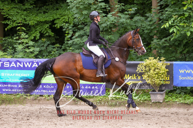 DKP45024 | Turnierfotos kaufen im Webshop von Daniel Kuhl Photography – entdecke professionelle Reitsportfotos aus Turnieren & Events. Hochwertige Turnierbilder online bestellen & sichern. Jetzt Fotos von Reitsportturnieren kaufen!