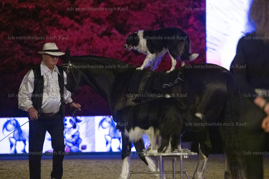 Gala-142 | working equitationturnier fotograf videograf stoibphotography marixx film working equitation deutschland reitsport turnierfotografie eventfotografie equestrian events