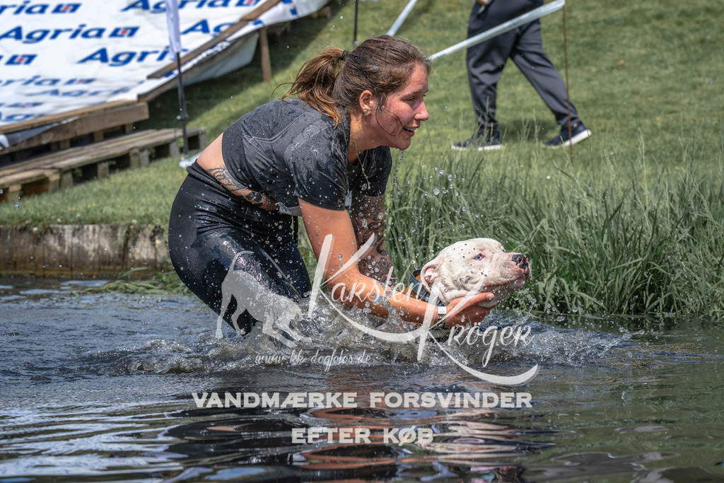 1102_ZZ90445 | kk-dogfotos