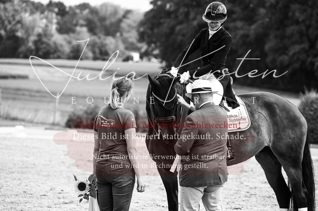 DSC_2642 | Pferde- und Turnierfotografie in Westsachsen. Pferdeportraits, Auftragszeichnungen und intuitive Kunst.