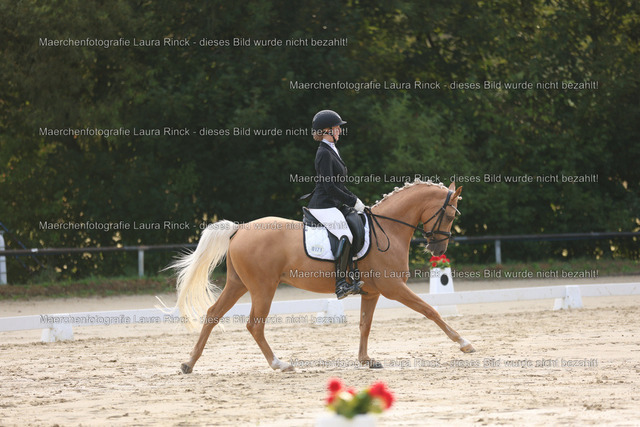 HG9A7317 | laurarinckfotografie - Realisiert mit Pictrs.com