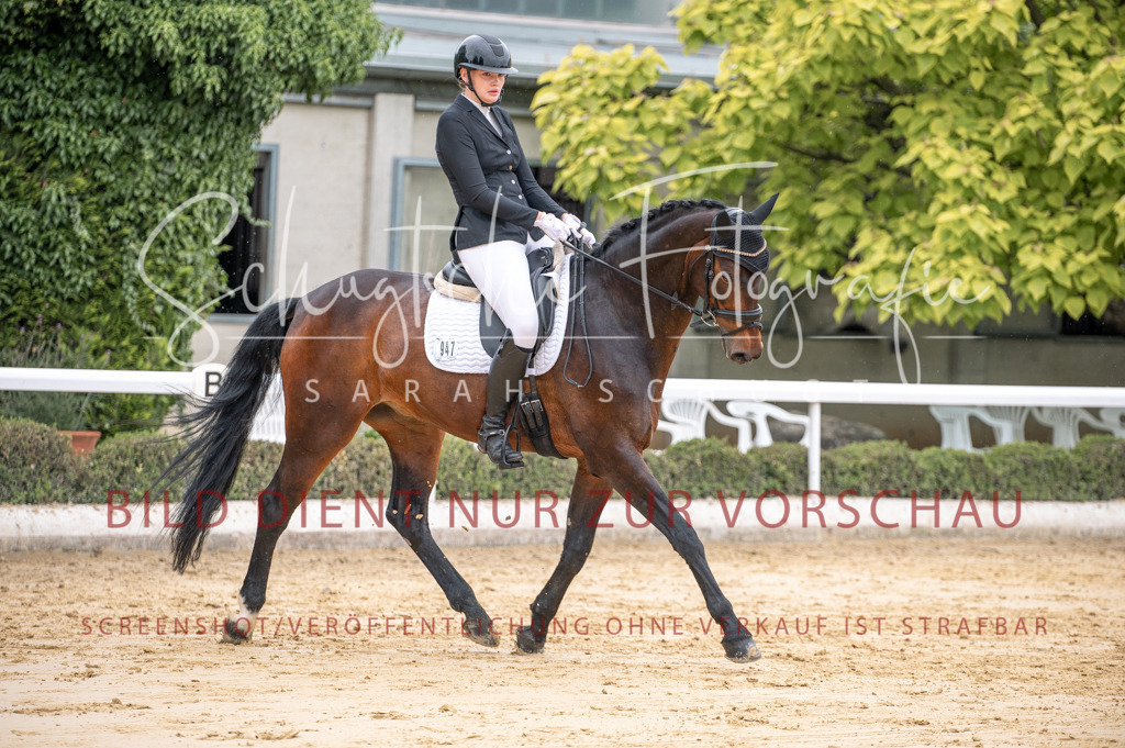 Schugtsche-Aluta25-41.Amat-Dressurprf.A_-148 | Schugtsche Fotografie - Realisiert mit Pictrs.com