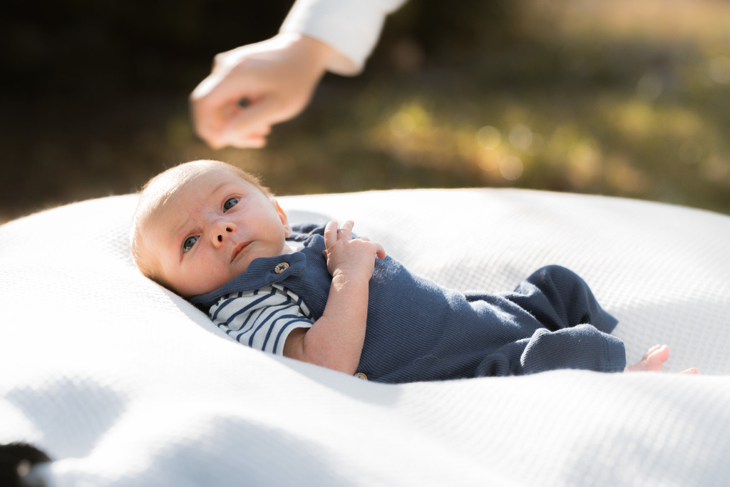 ZD260823180259 | Fotoshop von zweidimensional Fotografie. Ihr Fotograf im Aargau. Abzüge von Ihrem Fotobox Event bestellen.Abzüge von Ihrem Hochzeit bestellen.Abzüge von Ihrem Schulfotograf bestellen.