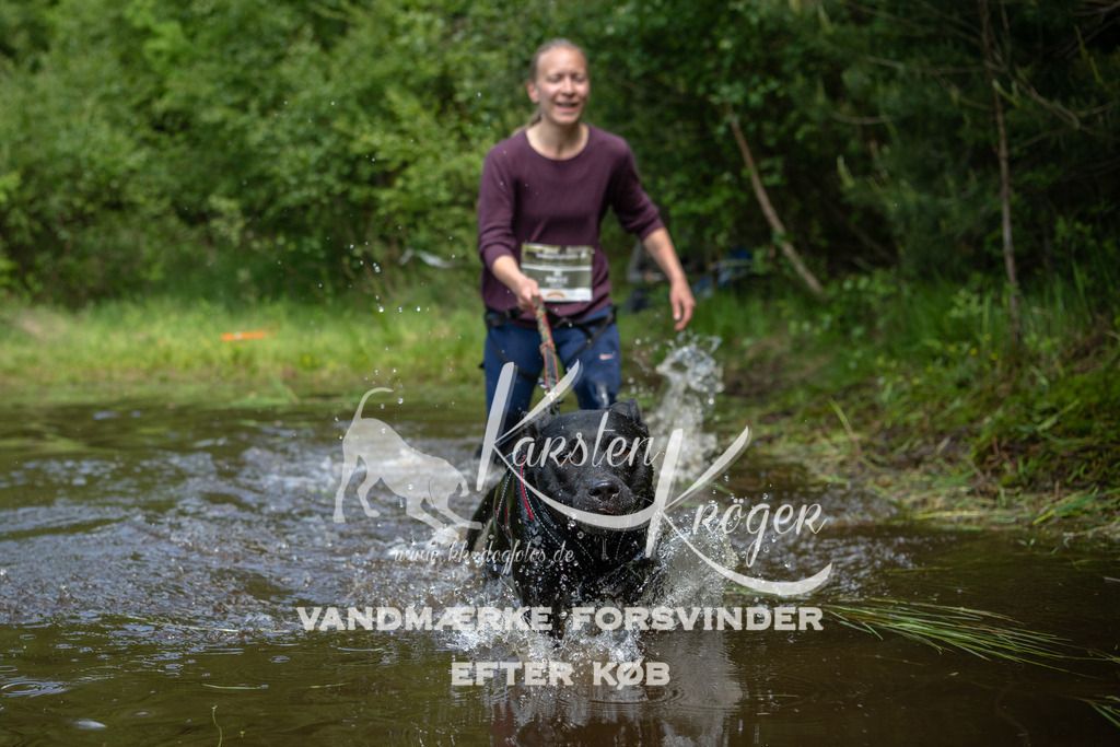 1225DKK992827 | kk-dogfotos