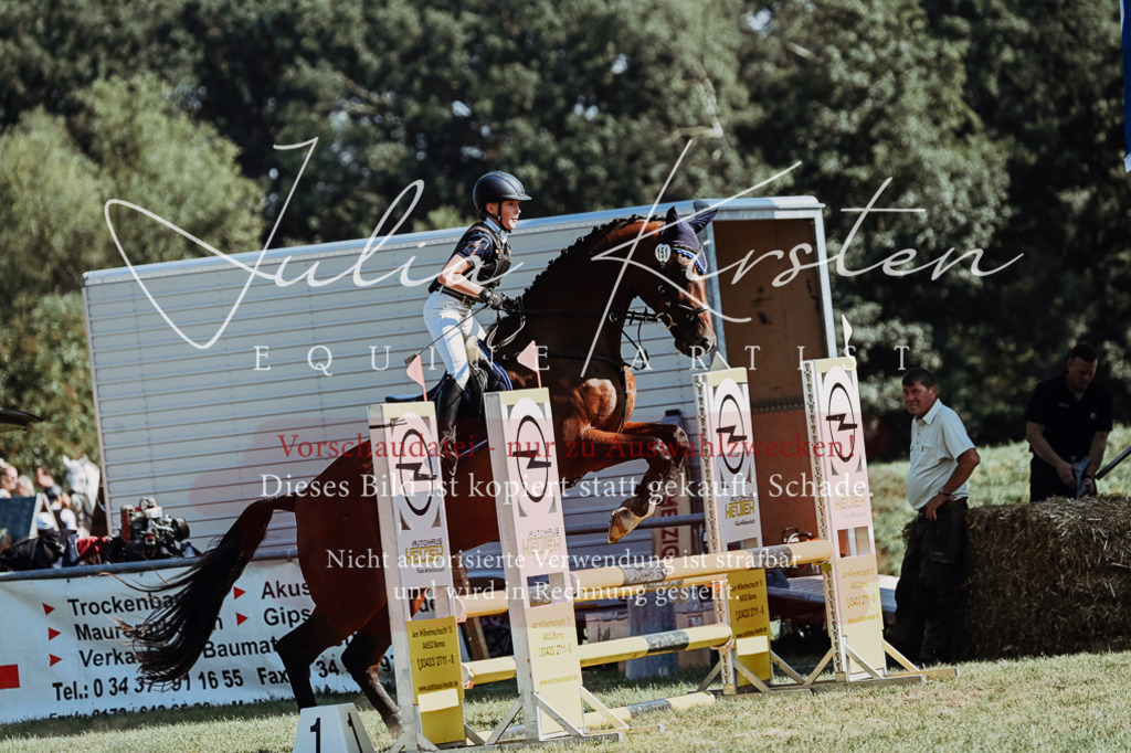 DSC_6595 | Pferde- und Turnierfotografie in Westsachsen. Pferdeportraits, Auftragszeichnungen und intuitive Kunst.