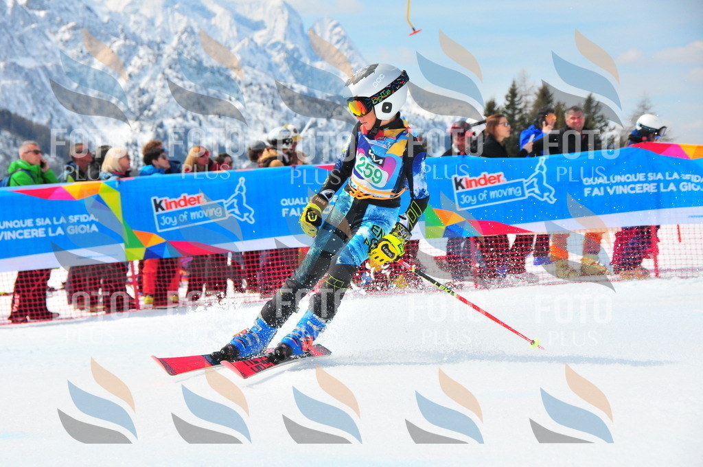 DSC_2419 | holidayphoto