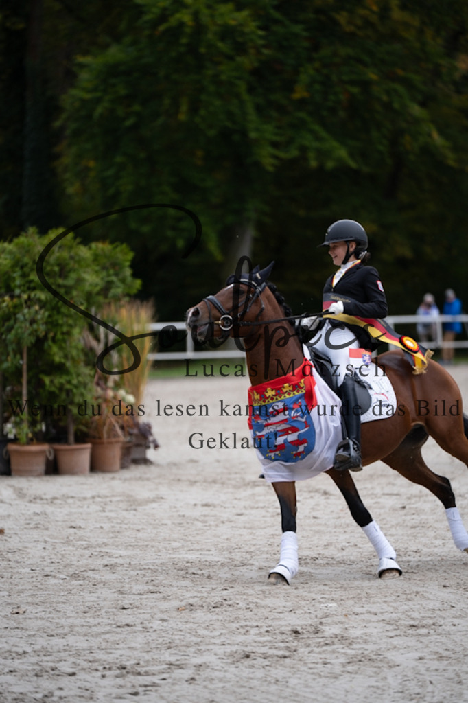 A7V01232 | Turnier/Reitfotograf