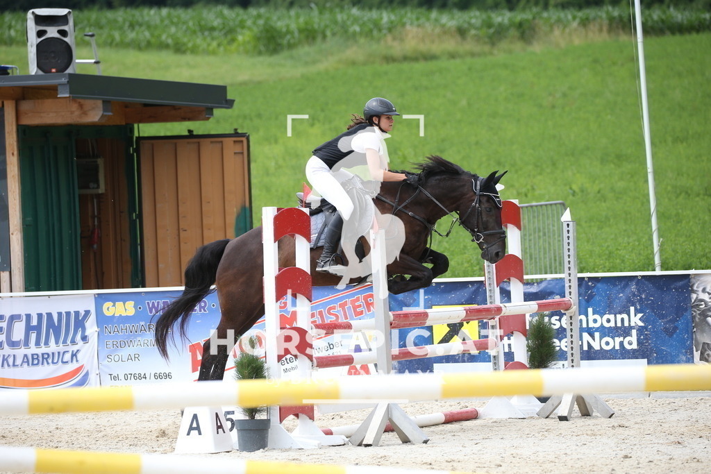 DL2Q1741 | Willkommen bei Brunnmayr - Design & Fotografie – Ihrem Spezialisten für Reitturniere und Pferdeveranstaltungen in Oberösterreich, Salzburg und Bayern! Seit über 17 Jahren sind wir leidenschaftlich dabei.