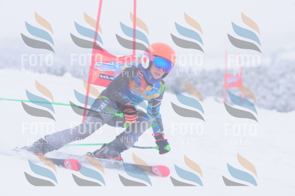 C2804 | holidayphoto