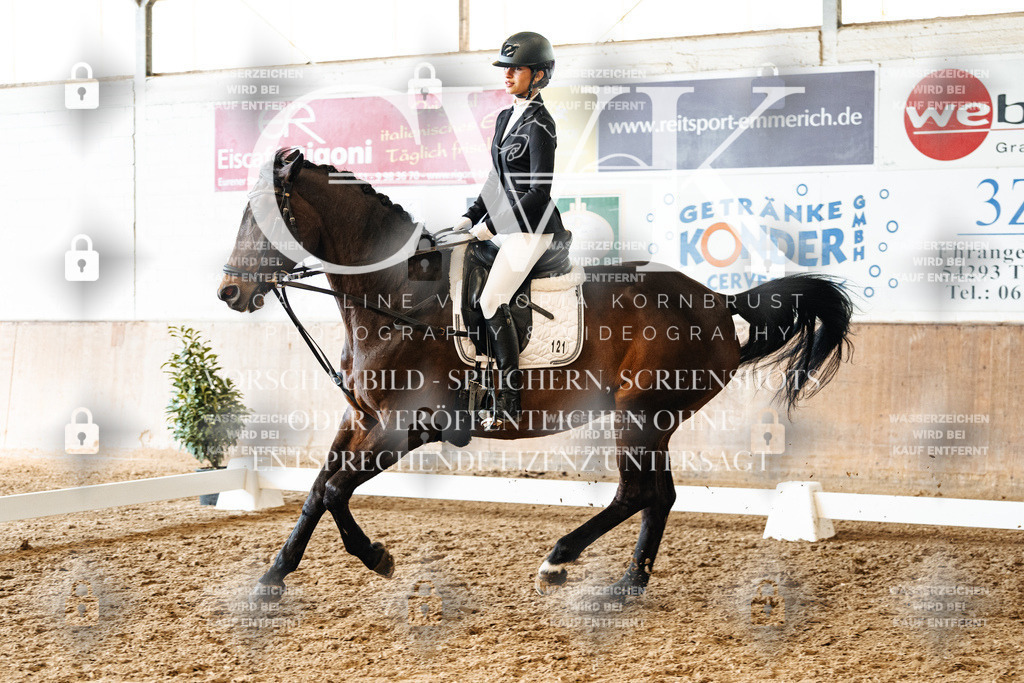 CK900054 | Turnierfotografie Pferdefotografie Trier Rheinland-Pfalz Pferdesport Reitsport Tierfotografie Sportfotografie Pferdevideo Pferdevideografie Equestrianvideography equestrianphotography  - Realisiert mit Pictrs.com