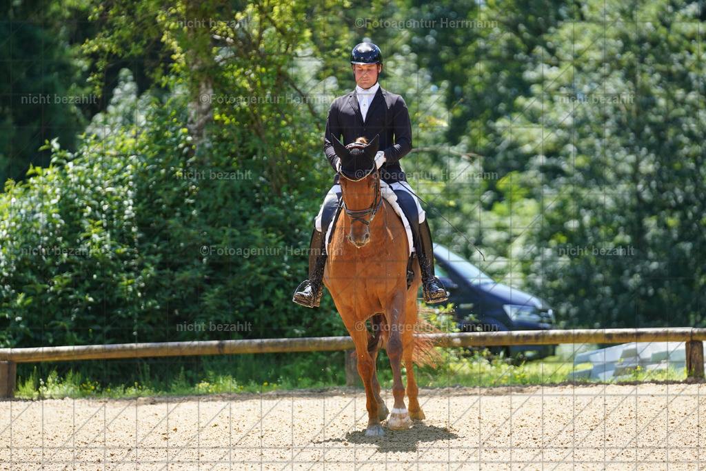 20240705-FAH03564 | Turnierbilder von Grafing, Reitsportbilder, Turnierfotos, Turnierfotografen Bayern, Pferdefotograf, Fotoagentur Herrmann