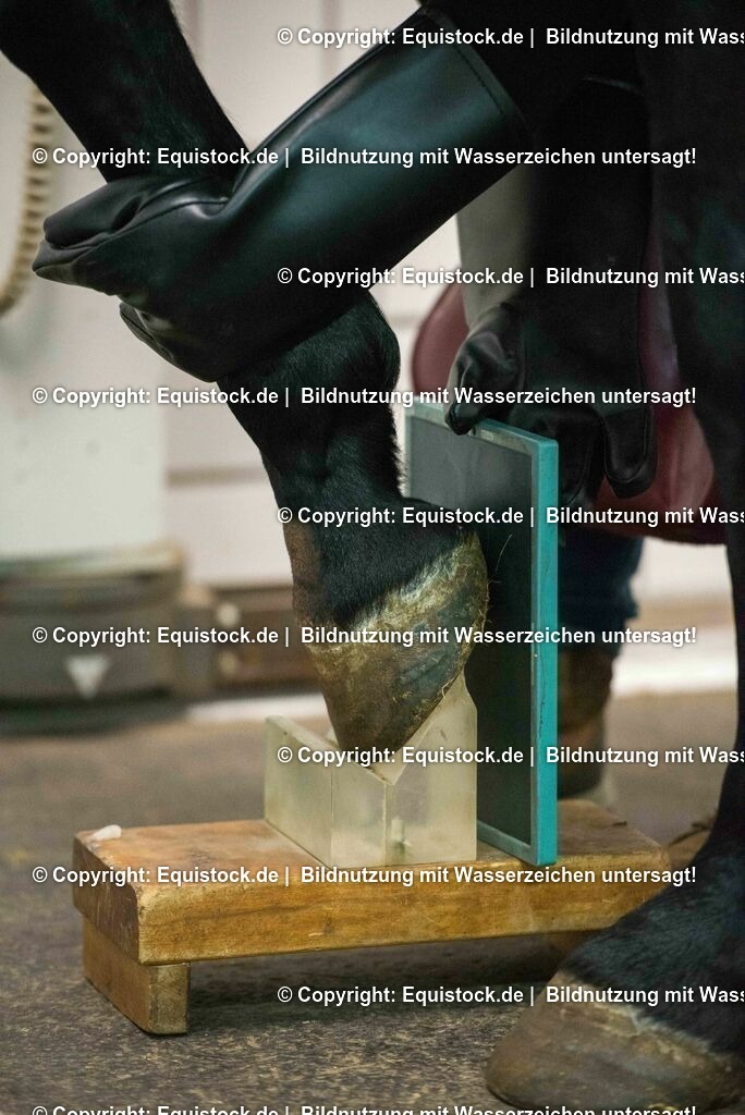 20170113_R__ntgen_0036 | Foto: Thomas Hartig