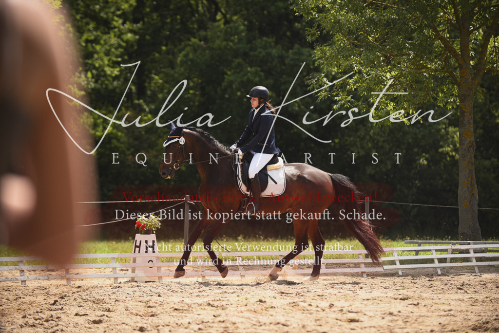 DSC_0997 | Pferde- und Turnierfotografie in Westsachsen. Pferdeportraits, Auftragszeichnungen und intuitive Kunst.