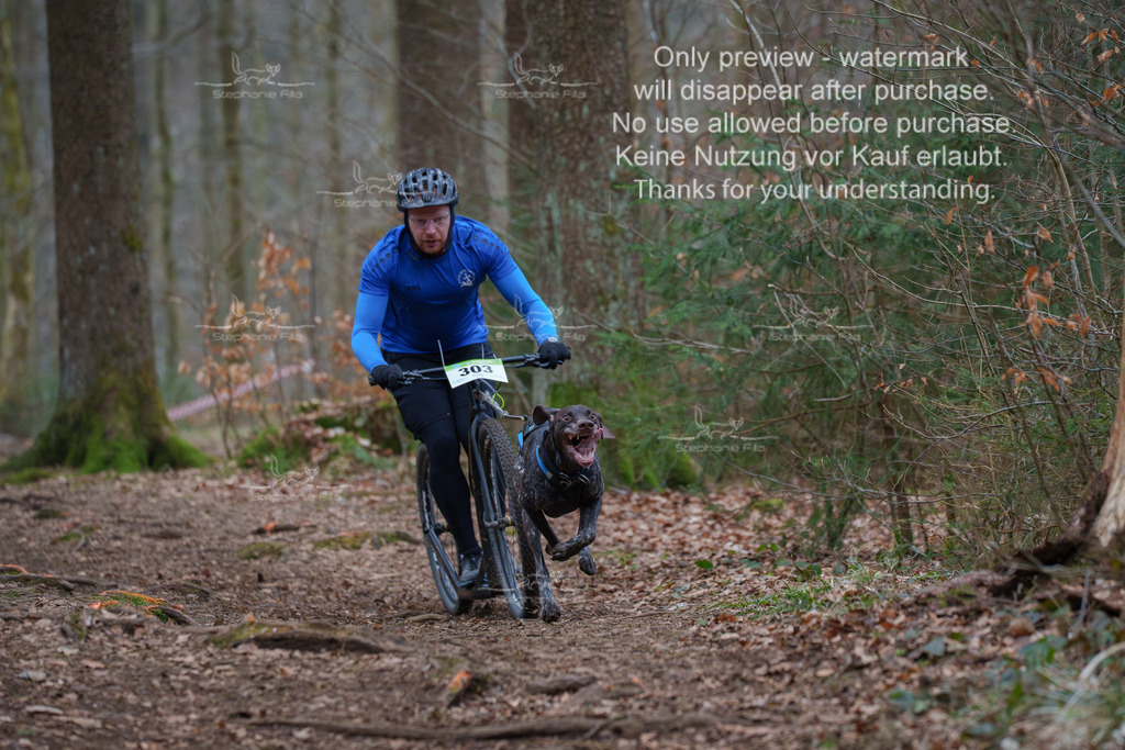 Scooter_So-16 | stephaniefillaphotographie - Realisiert mit Pictrs.com