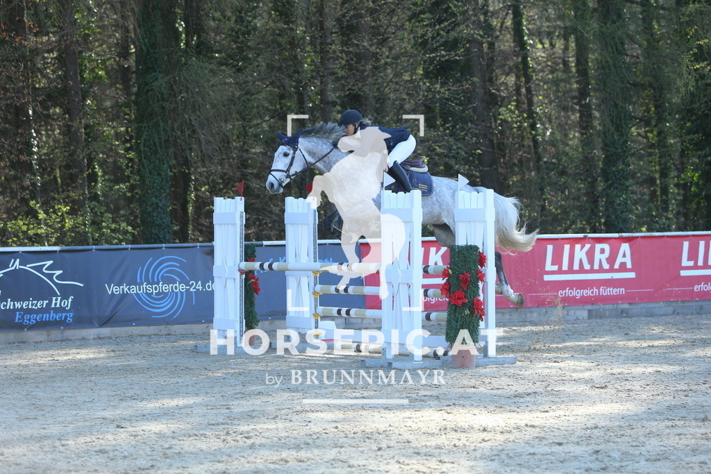 DL2Q1342 | Willkommen bei Brunnmayr - Design & Fotografie – Ihrem Spezialisten für Reitturniere und Pferdeveranstaltungen in Oberösterreich, Salzburg und Bayern! Seit über 17 Jahren sind wir leidenschaftlich dabei.