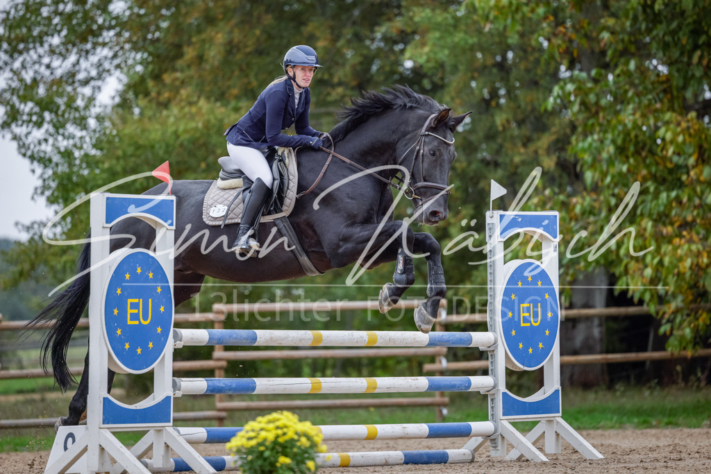 20251012-_3LI4511 | Tierfotografie Pferde, Hunde, Katzen, Haustiere.
Turnierfotografie Reitturniere, Reiten, Springreiten, Dressur in Hanau, dem Main-Kinzig-Kreis und dem Rhein-Main- Gebiet um Frankfurt