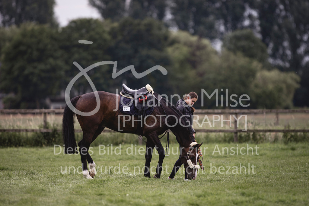 240614_Lemwerder_Impressionen-100 | Deine schönsten Turniermomente als professionelle Fotos! Entdecke hochwertige Pferdesport-Fotografie im Online-Shop. Jetzt Fotos finden & bestellen!