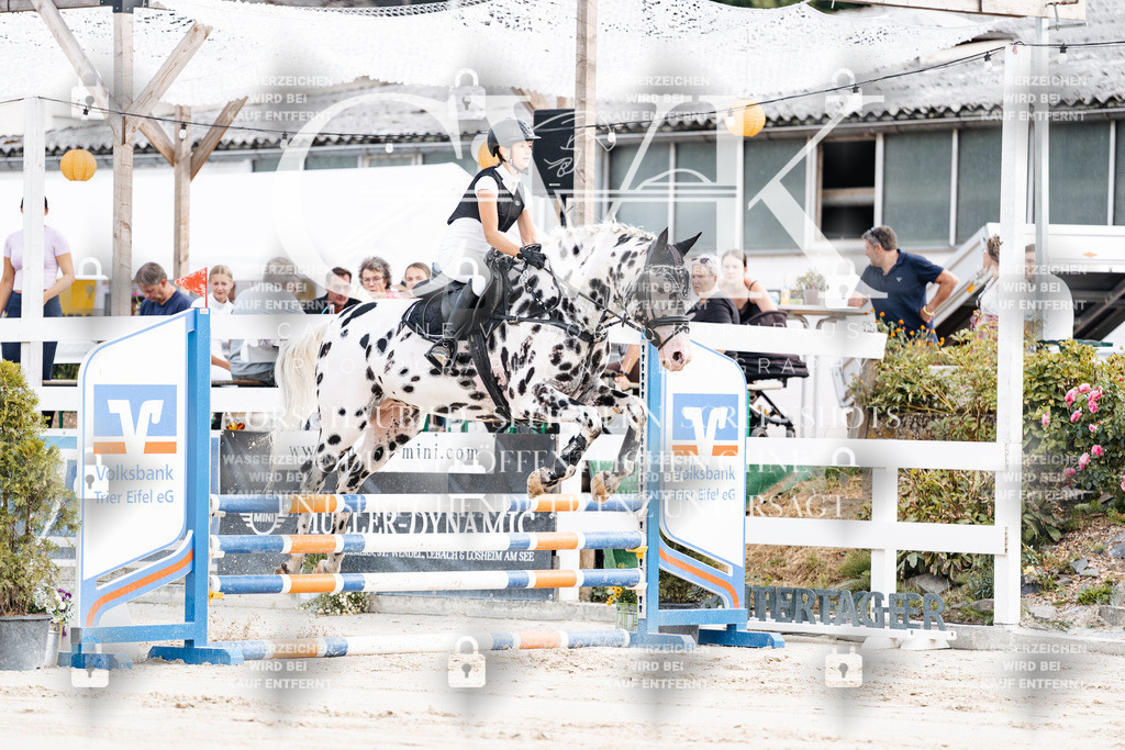 CK908944 | Turnierfotografie Pferdefotografie Trier Rheinland-Pfalz Pferdesport Reitsport Tierfotografie Sportfotografie Pferdevideo Pferdevideografie Equestrianvideography equestrianphotography  - Realisiert mit Pictrs.com