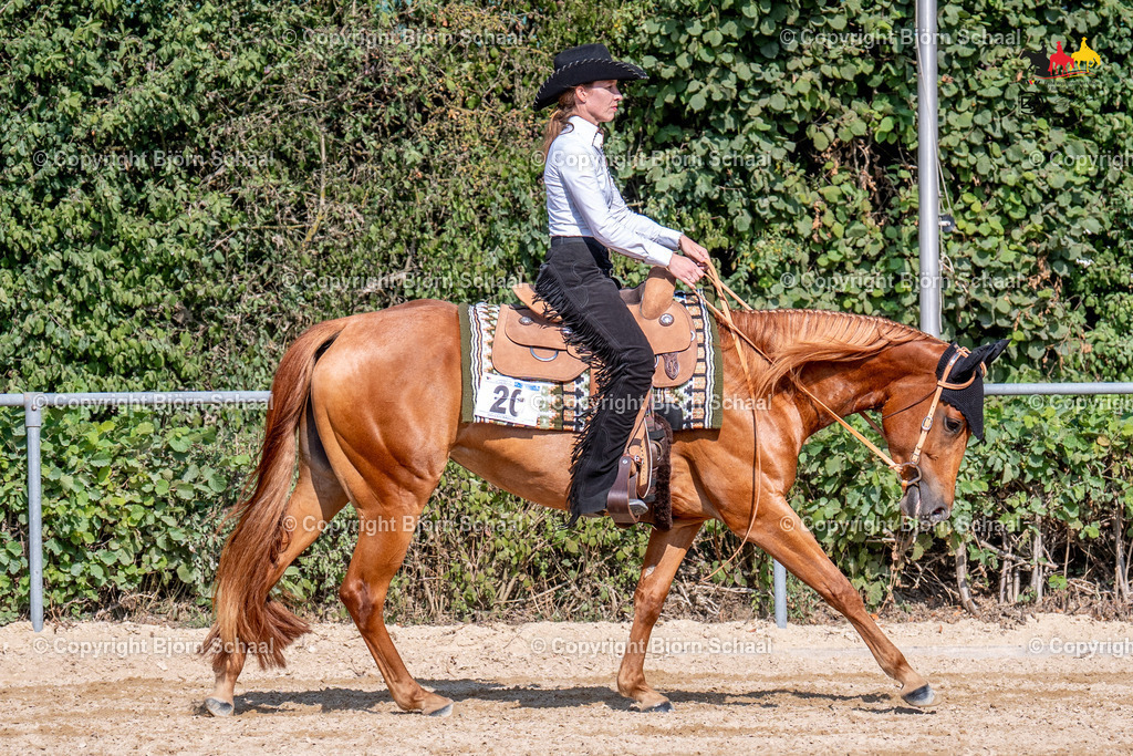 LMS07331 | BS-foto