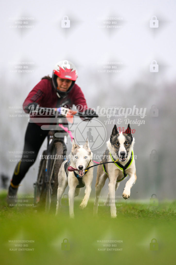 MompixPhotography_CDF2023_FFST_Di_DS2-46 | PayLife