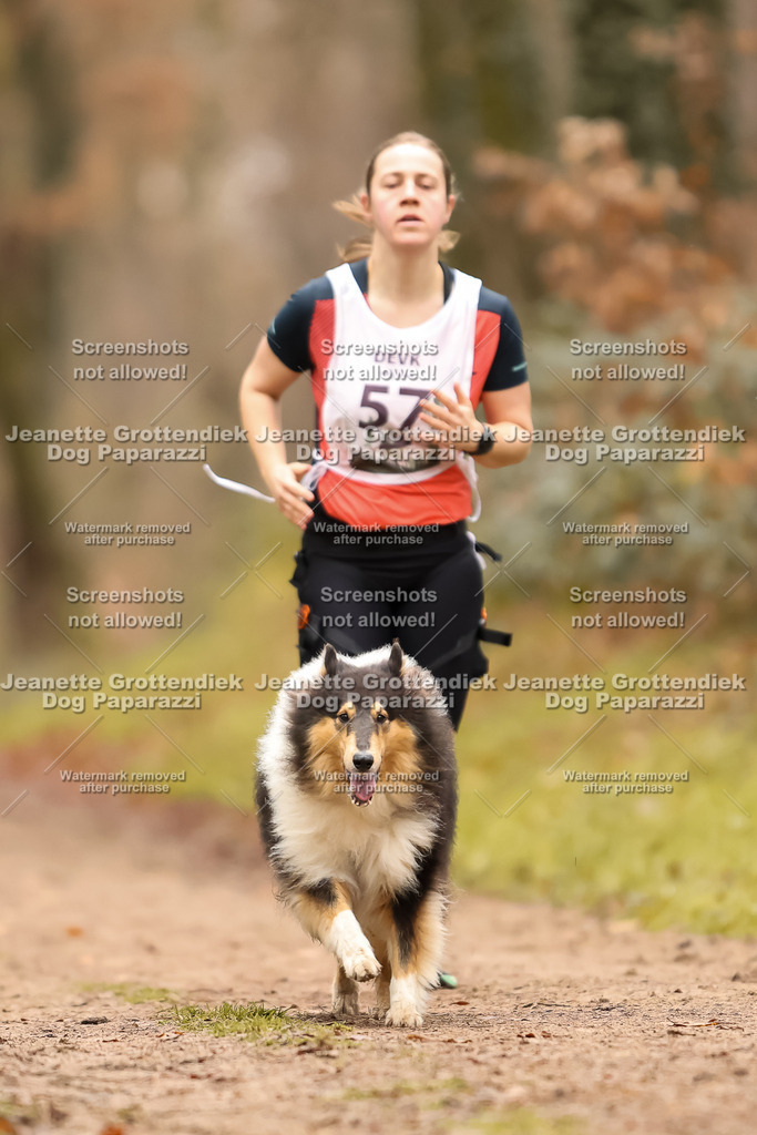 Dog Paparazzi - Speedhunter Mannheim  2025-162 | Dog Paparazzi Jeanette Grottendiek Fotografie & Videografie