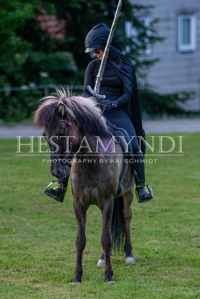 KAI07524 | Ihr sucht einen Fotografen für eure nächste OSI? Ich begleite auch euer Turnier für Islandpferde fotografisch.  - Realisiert mit Pictrs.com