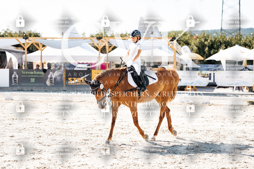 CK903284 | Turnierfotografie Pferdefotografie Trier Rheinland-Pfalz Pferdesport Reitsport Tierfotografie Sportfotografie Pferdevideo Pferdevideografie Equestrianvideography equestrianphotography  - Realisiert mit Pictrs.com