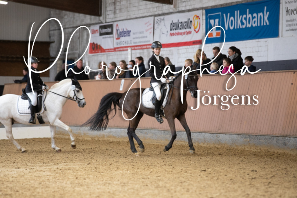 IMG_7935 | photographesa-joergens - Realisiert mit Pictrs.com