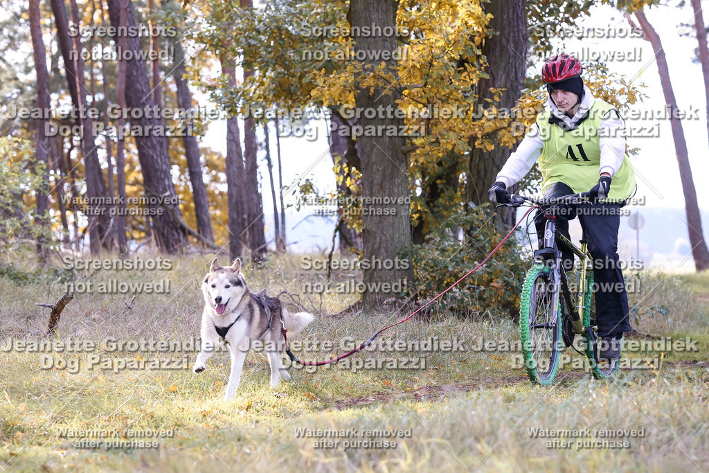 Dog Paparazzi - Elsholz 25 -158 | Dog Paparazzi Jeanette Grottendiek Fotografie & Videografie - Realisiert mit Pictrs.com