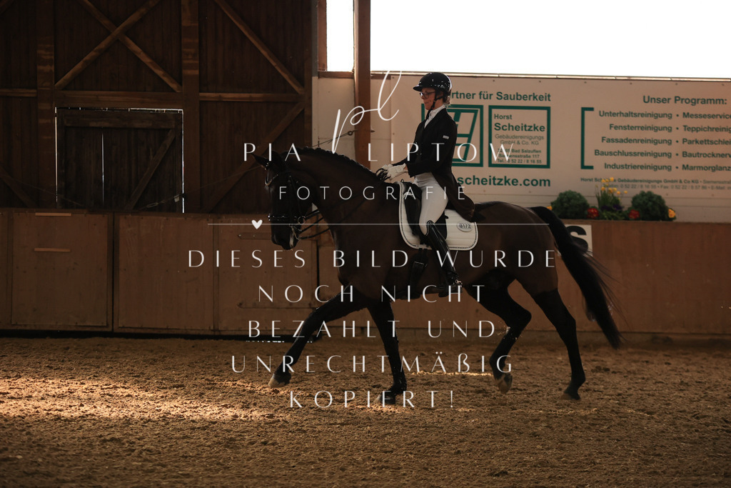 IMGT5253 | pl-fotografie