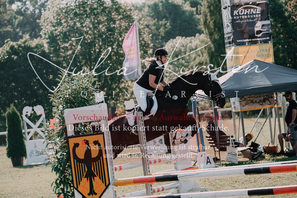 DSC_4765 | Pferde- und Turnierfotografie in Westsachsen. Pferdeportraits, Auftragszeichnungen und intuitive Kunst.