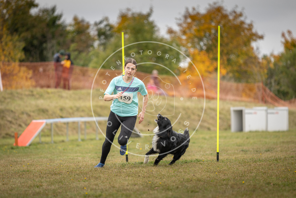 Pfotenfotografie_DV3A5105 | Hundefotografie, Tierfotograf, Pfotenfotografie, Fotoshooting Hund, Hunde Portrait, Hundesport, Hundeportraits, Heideshooting, Hunde, Sportfotograf, Hundefotograf, Turnierhundsport, THS,  - Realisiert mit Pictrs.com