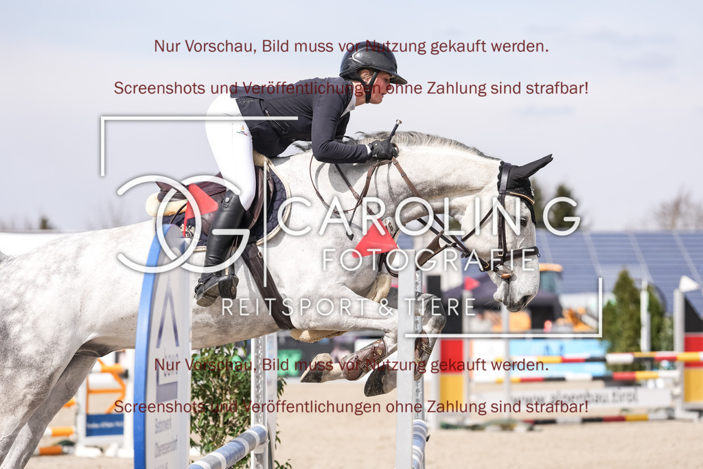 DSC05860 | Late_entry_Springturnier_Bad_Wurzach, Antonia_Ellinger, Ci_Ci_Margot