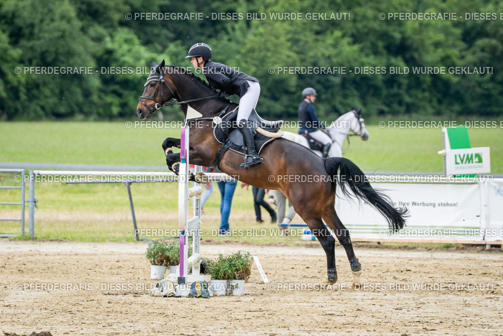 DSC04310 | Pferdegrafie