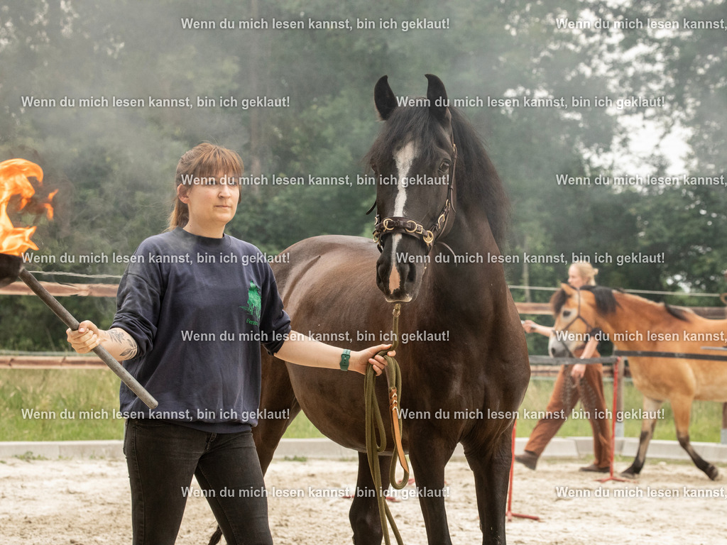 598A8003 | photographylinaismer - Realisiert mit Pictrs.com