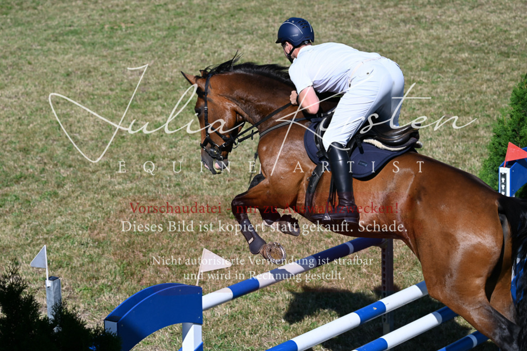DSC_2170 | Pferde- und Turnierfotografie in Westsachsen. Pferdeportraits, Auftragszeichnungen und intuitive Kunst.