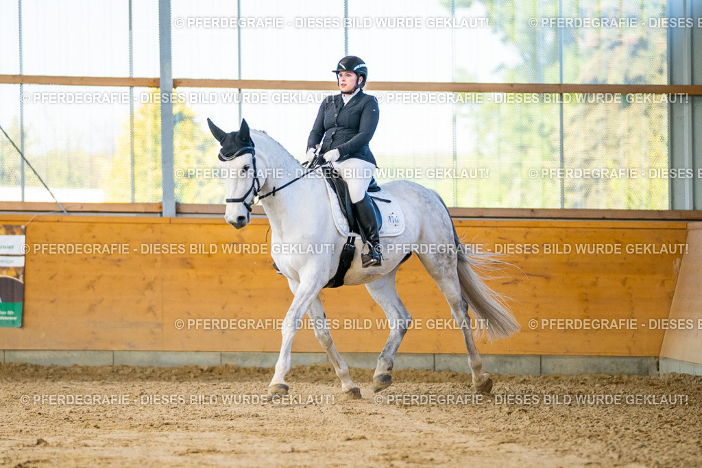 DSC06195 | Pferdegrafie