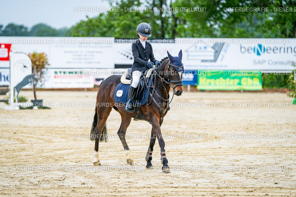 DSC01298 | Pferdegrafie