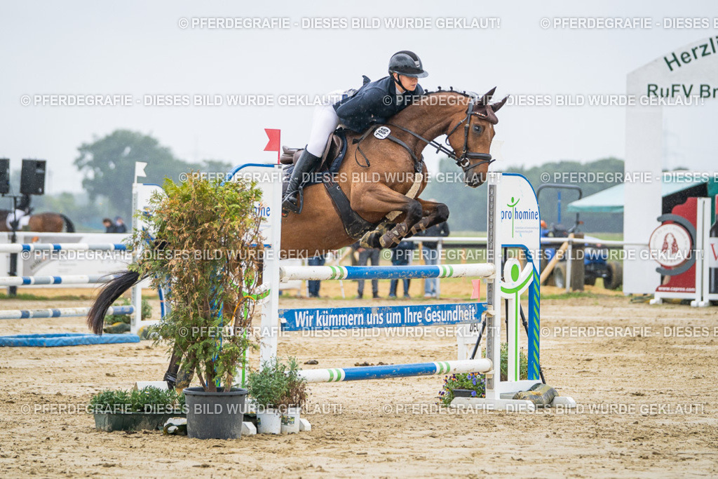 DSC03000 | Pferdegrafie