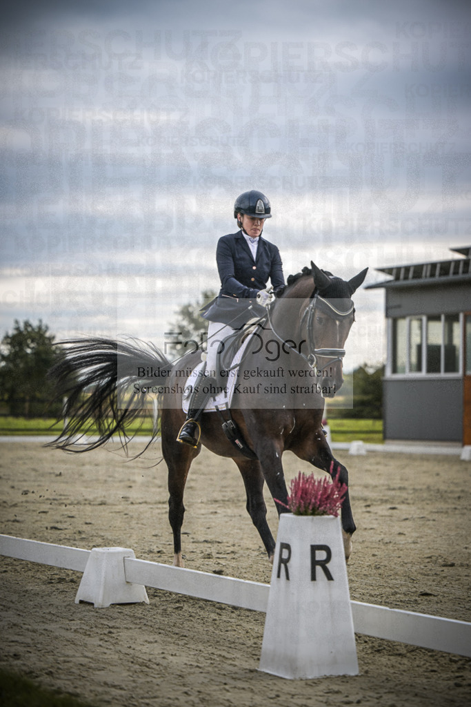 DOS_1530 | Entdecke hochwertige Reitturnierfotos von Foto Oger. Professionell, emotional und authentisch – jetzt Lieblingsmomente im Shop bestellen.Deutschlandweite Turnierfotografie. - Realisiert mit Pictrs.com