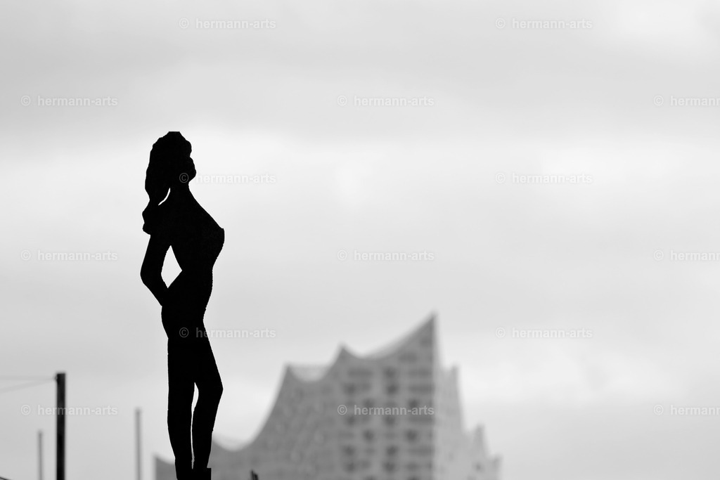 Hamurg_Arts-033 | Photo Foto Kunst Art schwarzweiss Bilder Rheine Münster Berlin Blumen 