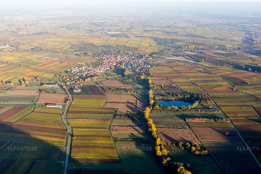 Luftbild: Herbstliche Abendlicht am Rande von Feldern in Göcklingen im Bundesland Rheinland-Pfalz in Deutschland. Foto: IMG_095748.jpg vom 30.10.2016 durch Werner Riehm/FLY-FOTO.de